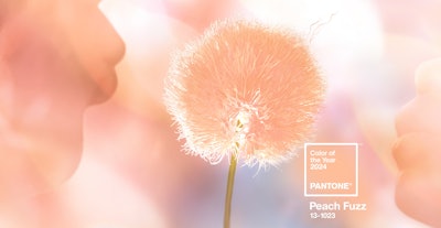 Global color authority Pantone has announced that Pantone13-1023 Peach Fuzz is the Pantone Color of the Year selection for 2024. Photo courtesy of The Development.