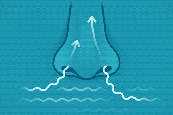 Getty Images 511979556