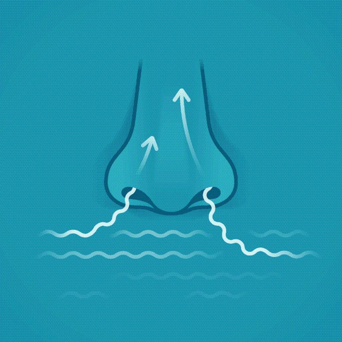 Primer: Packaging Plays Key Role in Nasal Delivery of Dry Powder Biologics - Vimarsana News