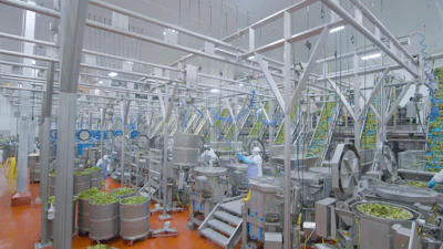 Lettuce Washing