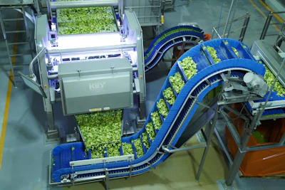 La Huerta Broccoli