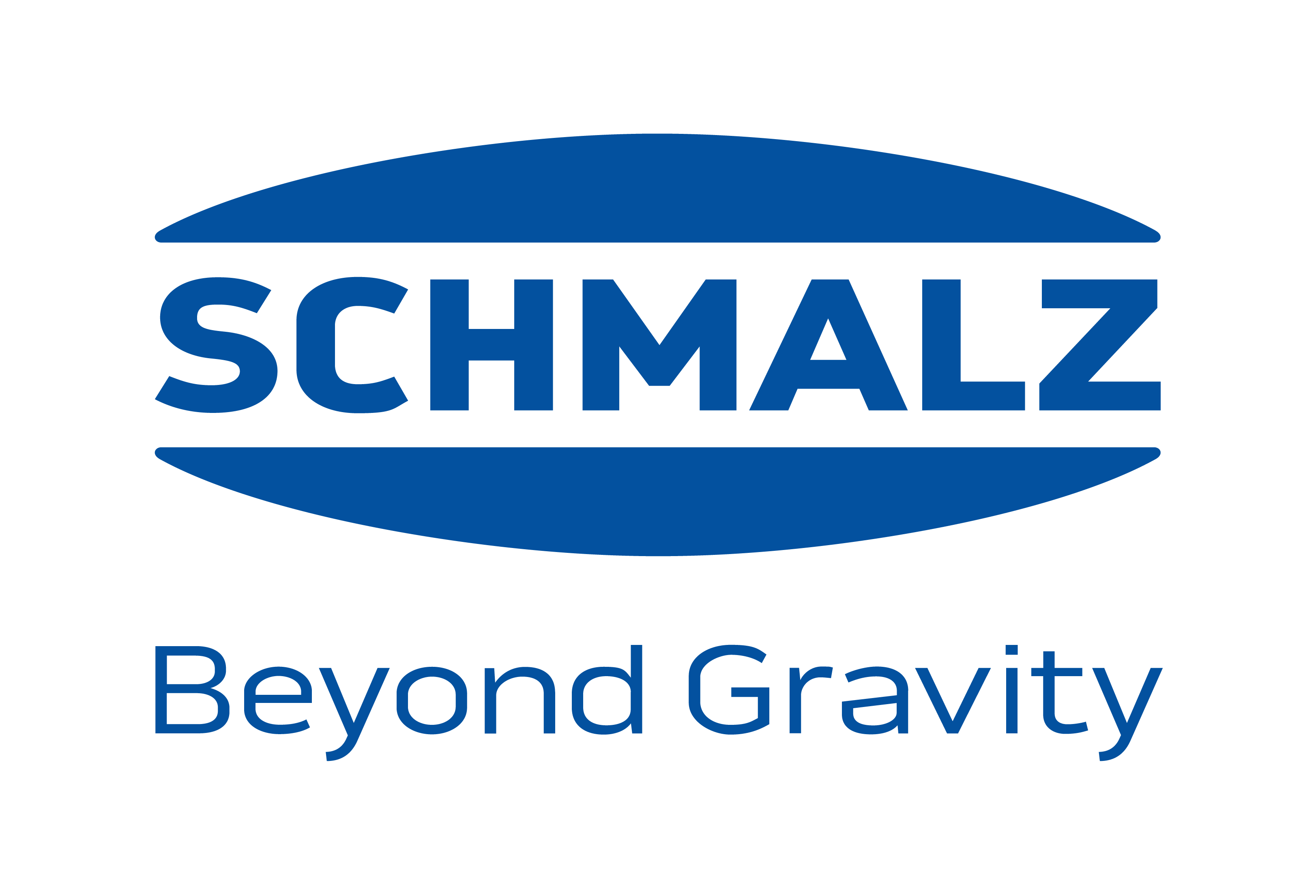 Schmalz Brand Claim Rgb Blue 6300157692657c