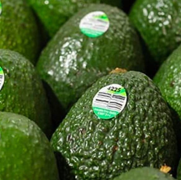 Sinclair&rsquo;s T55 label is the first to meet both the industrial and home composting requirements.