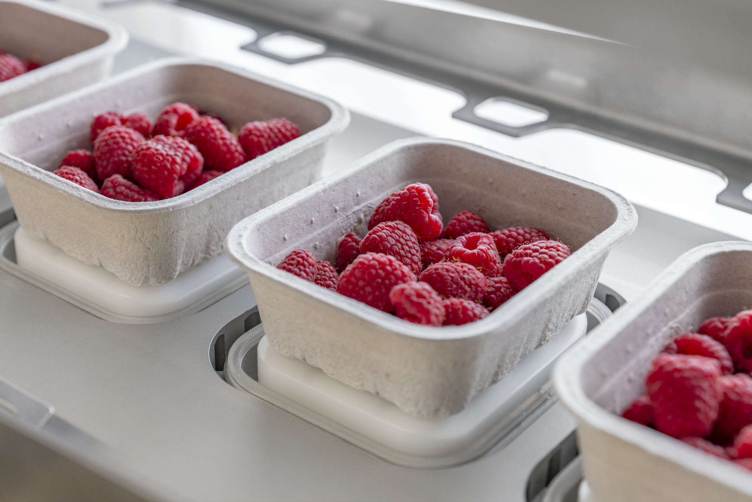 95551 Tray Berries 645127d034bbc8
