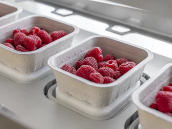95551 Tray Berries 645127d034bbc8