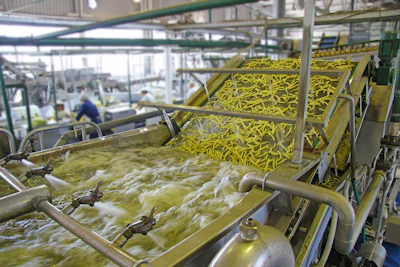 Industrial food processing line with yellow potato strips on conveyor equipment