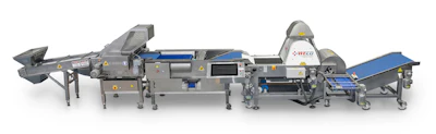 Sortivator line for fresh-pack blueberries from WECO