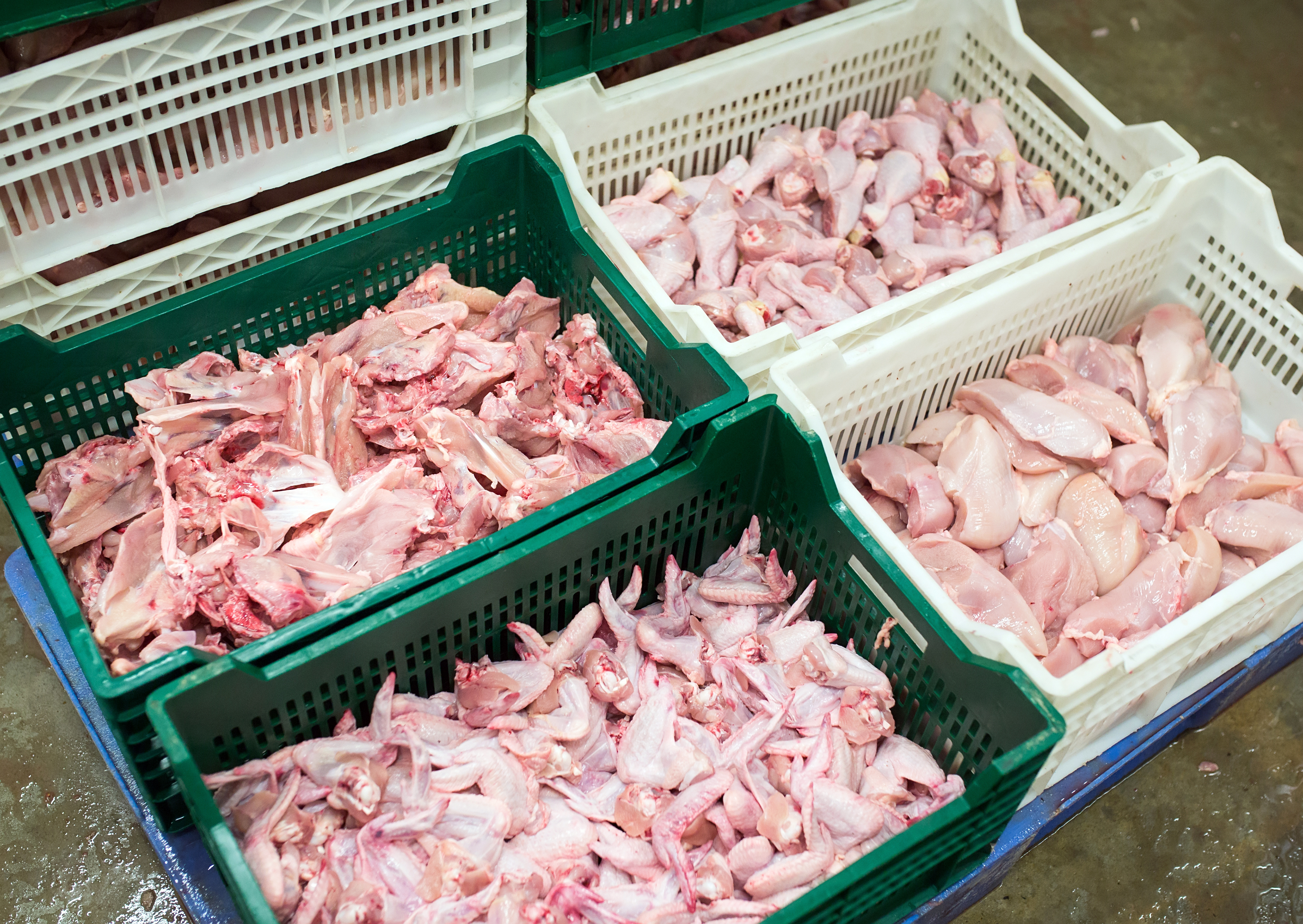 Raw chicken parts sorted in green and white plastic crates