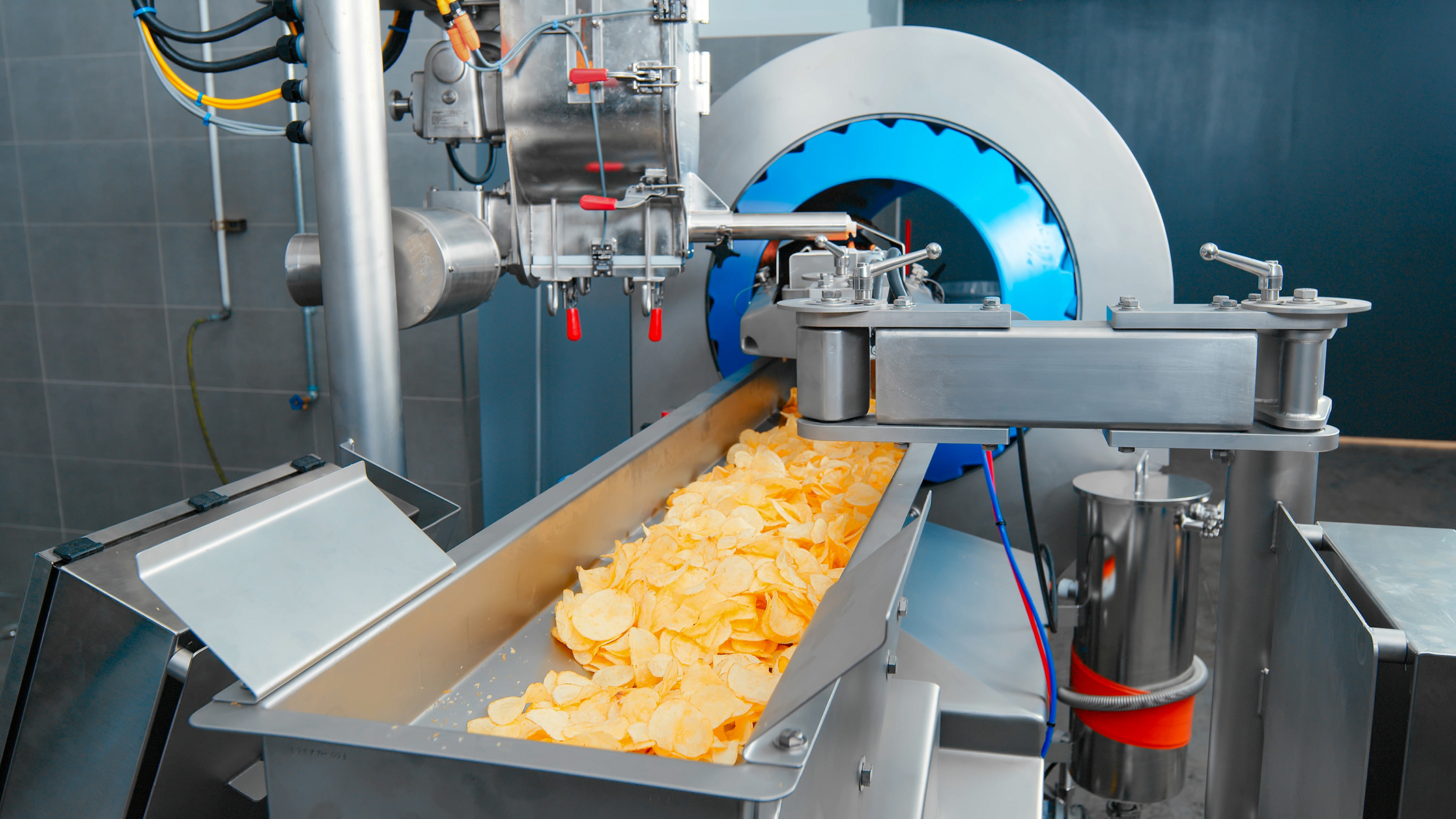 Industrial potato chip processing machine with golden chips on stainless steel conveyor