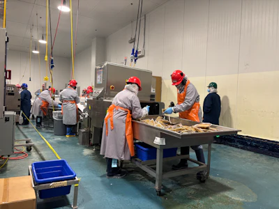 Food processing workers in safety gear preparing seafood on stainless steel workstation