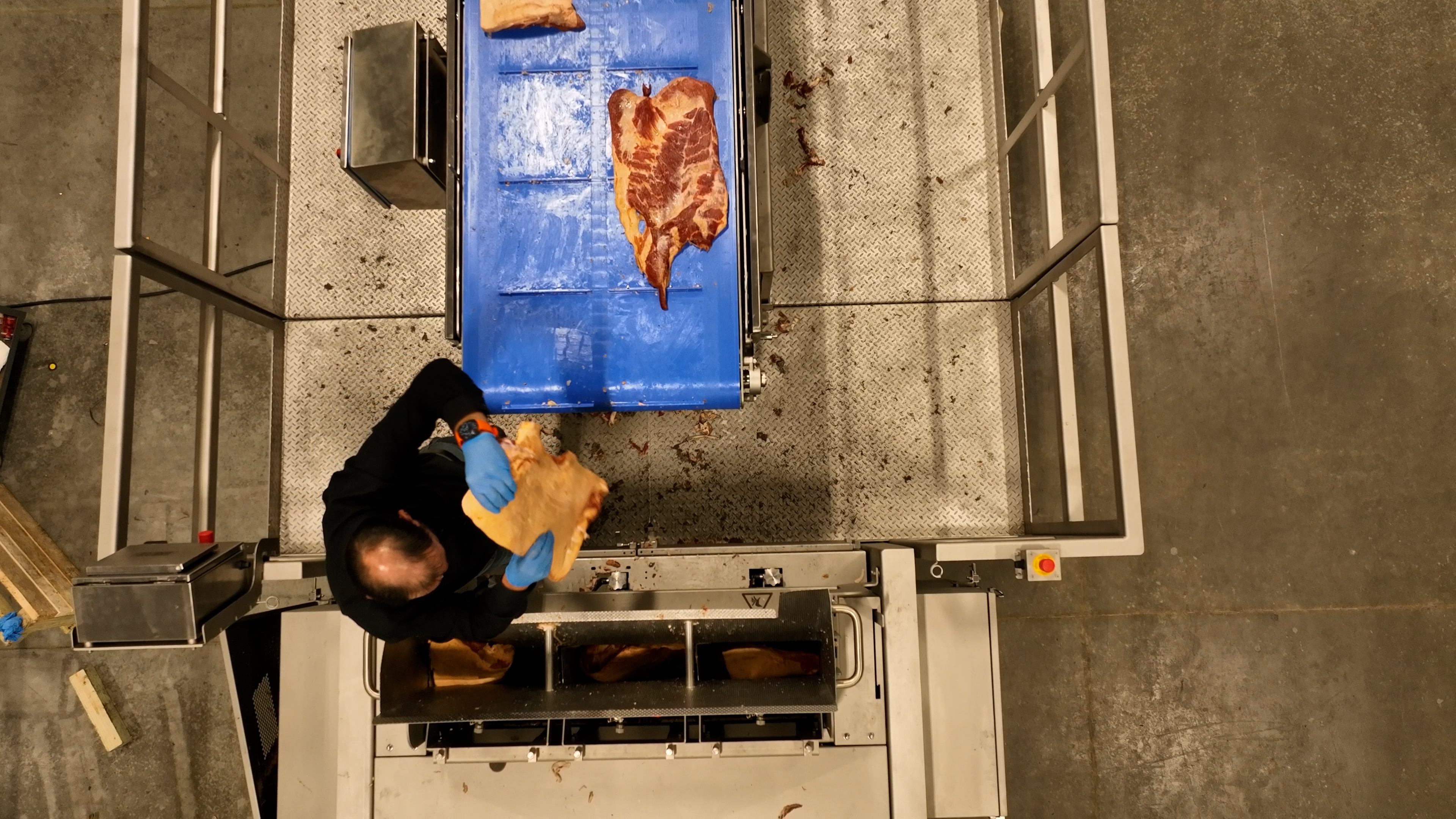 Overhead view of worker processing meat on industrial blue cutting surface