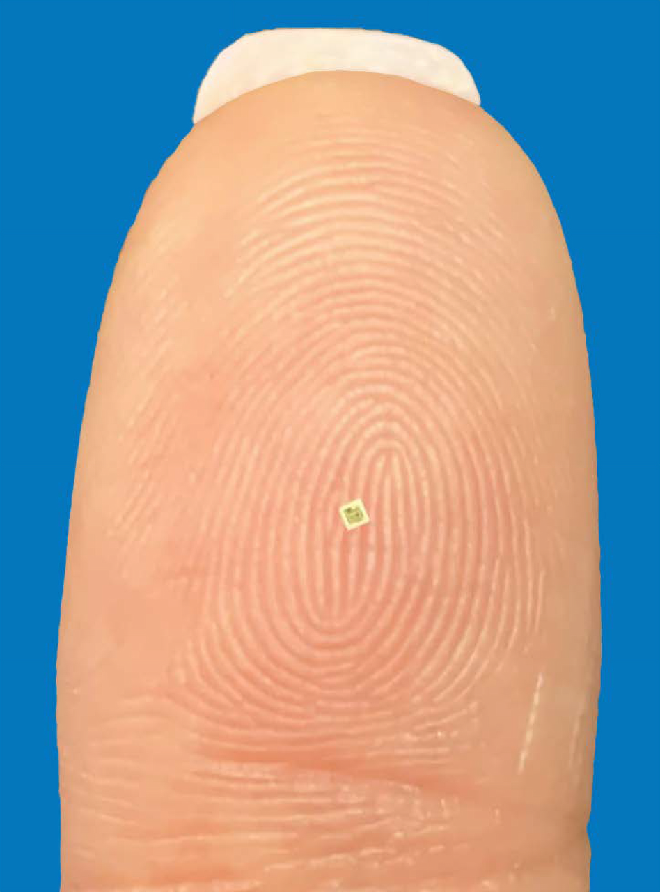p-Chip microtransponders are the size of a grain of salt and enable secure digital identities for physical items, enabling traceability, authentication, and data-driven supply chains.