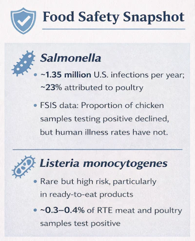 Food Safety Snapshot infographic detailing Salmonella and Listeria monocytogenes statistics and infection rates