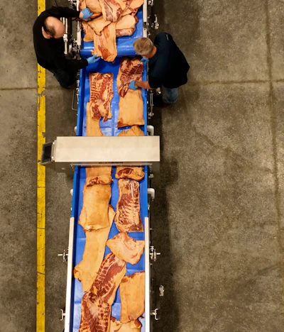 Workers inspecting raw meat cuts on blue conveyor belt in industrial butchery facility