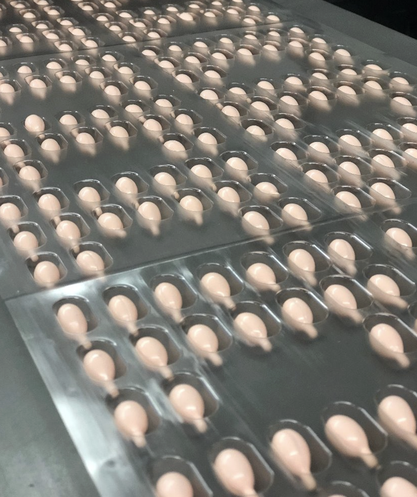 By combining advanced engineering with application-specific design, these systems enable consistent, damage-free handling while maintaining precise orientation and accurate placement throughout the packaging process.