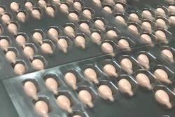 By combining advanced engineering with application-specific design, these systems enable consistent, damage-free handling while maintaining precise orientation and accurate placement throughout the packaging process.