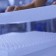 Laboratory technician handling a microplate with multiple wells during scientific analysis
