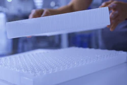 Laboratory technician handling a microplate with multiple wells during scientific analysis