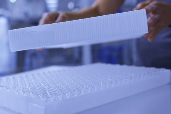 Laboratory technician handling a microplate with multiple wells during scientific analysis