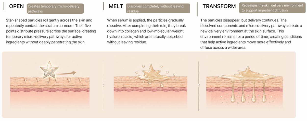 Mechanism of R-MAP Microstructured Topical Delivery