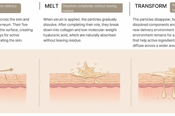 Mechanism of R-MAP Microstructured Topical Delivery