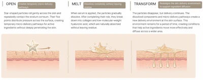 Mechanism of R-MAP Microstructured Topical Delivery